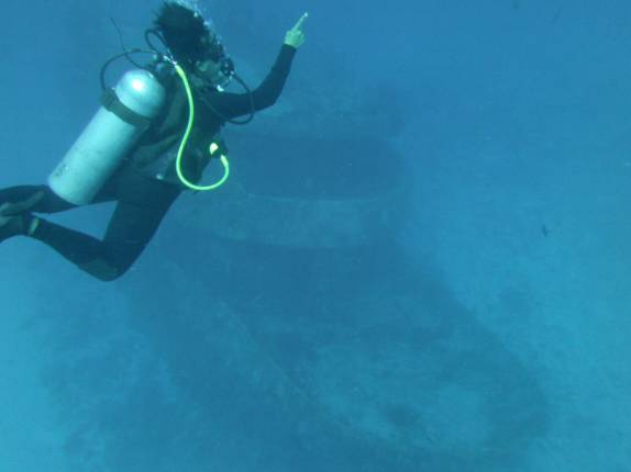 Antes de chegar ao naufrágio no fundo, a Marina já aponta tubarões-touro, em mergulho em Playa del Carmen, no litoral do Yucatán, no México
